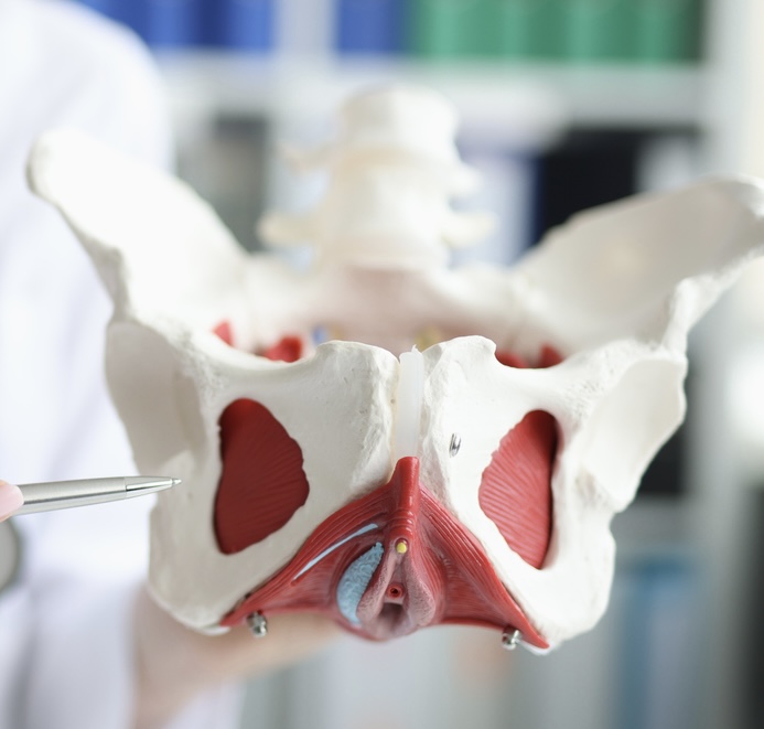 beckenboden check up vital konzept